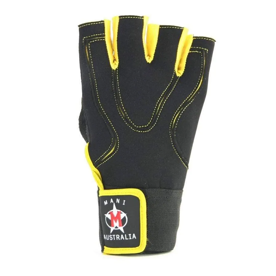 Phoenix Weight Training Gloves