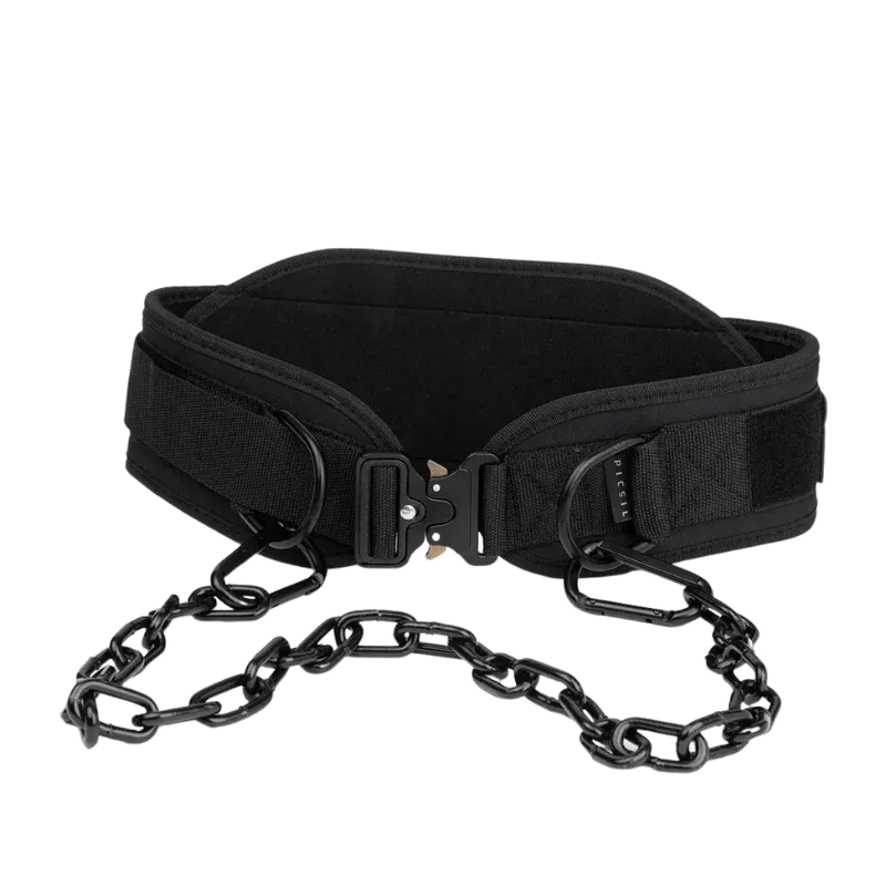 PicSil Dip Belt 2.0