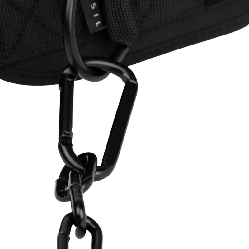 PicSil Dip Belt 2.0