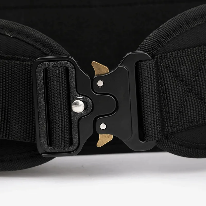 PicSil Dip Belt 2.0
