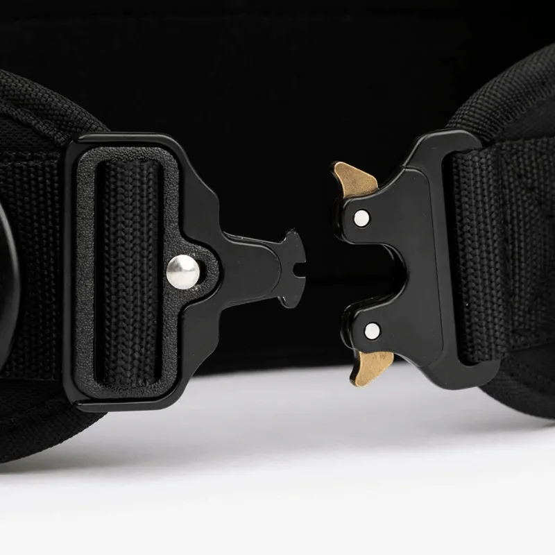 PicSil Dip Belt 2.0