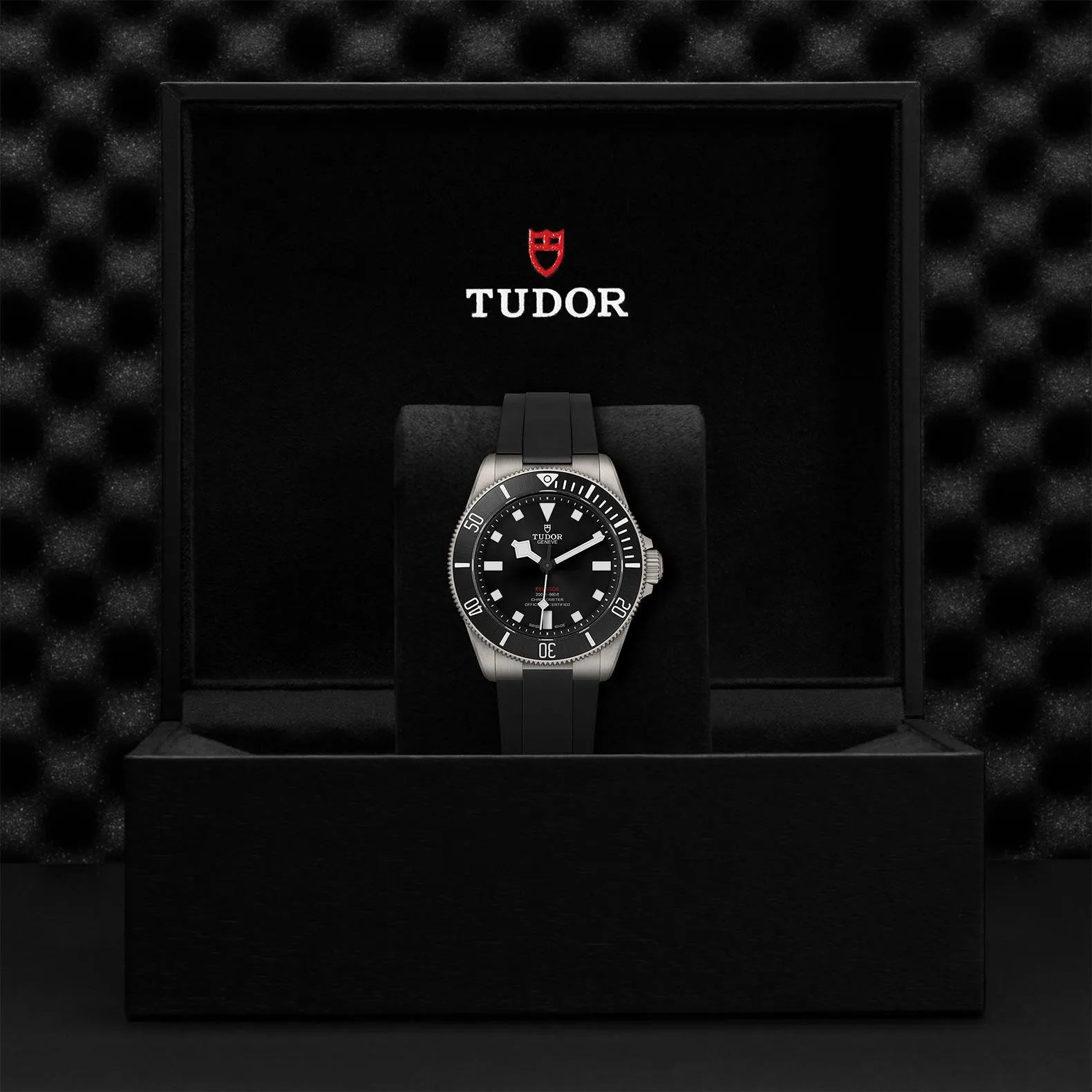 TUDOR Pelagos 39mm Watch M25407N-0001
