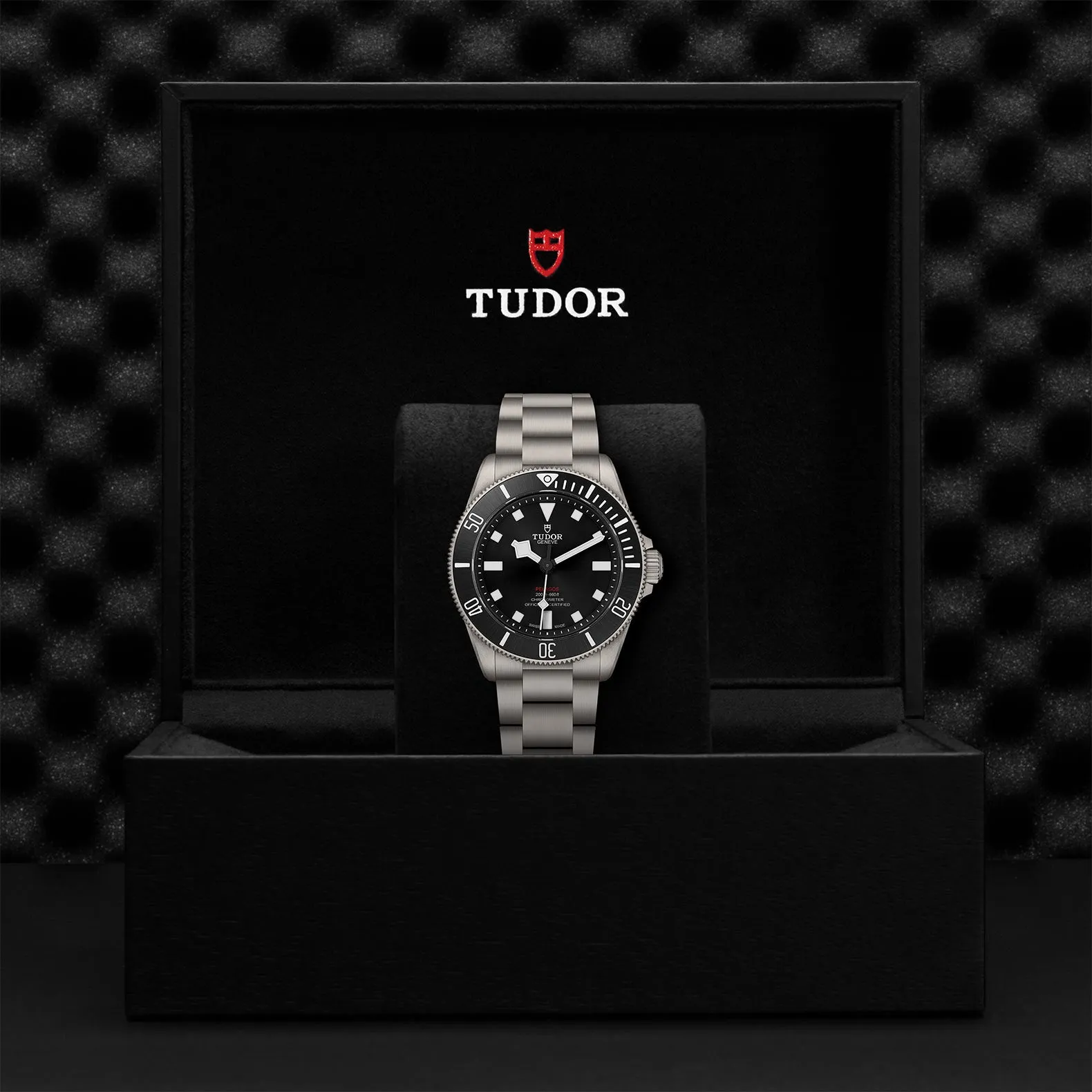 TUDOR Pelagos 39mm Watch M25407N-0001